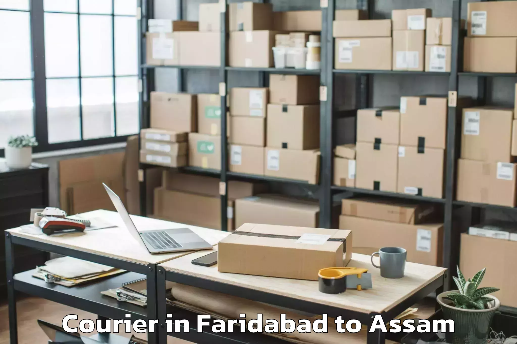 Discover Faridabad to Marigaon Courier